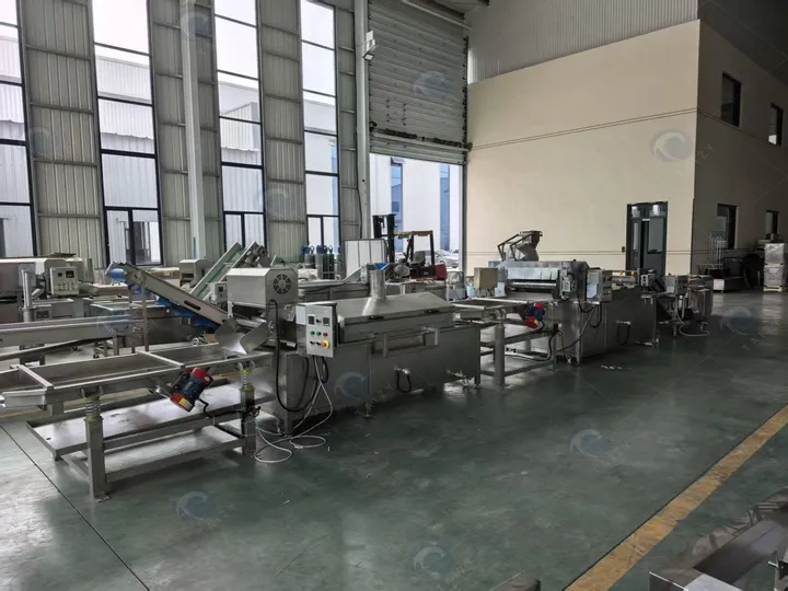 French Fries Production Line Shipped To Palestine 2 French fries production line manufacturer