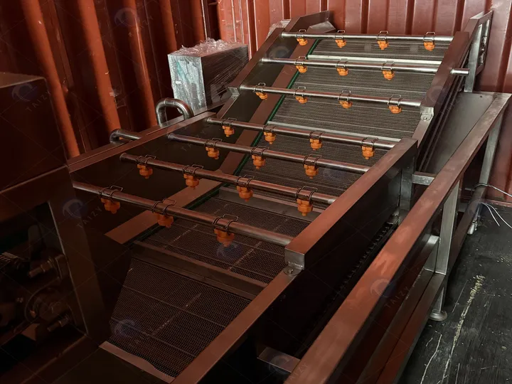 French Fries Production Line Shipped To Palestine 11 Loading the bubble washing machine