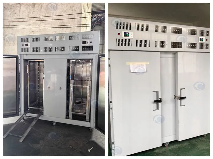 French Fries Production Line Shipped To Palestine 14 Quick freezing cabinet