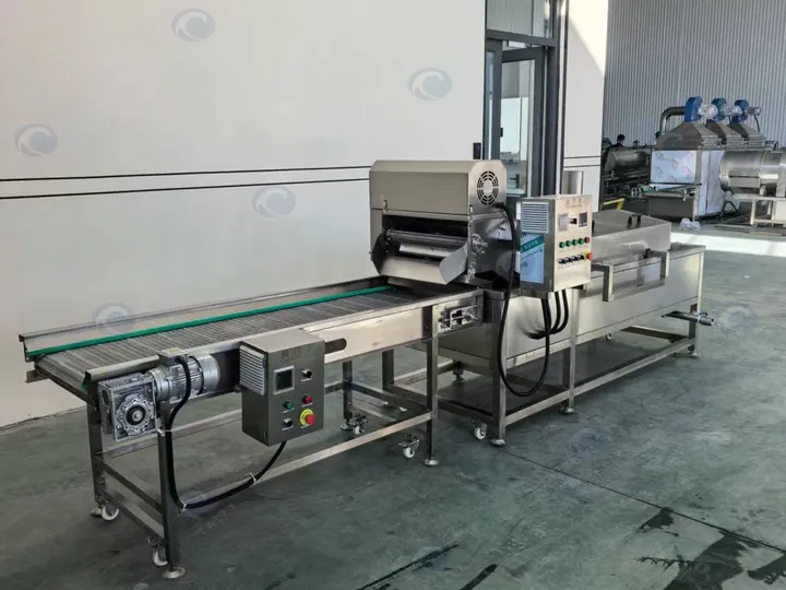 首页1 Small continuous frying equipment